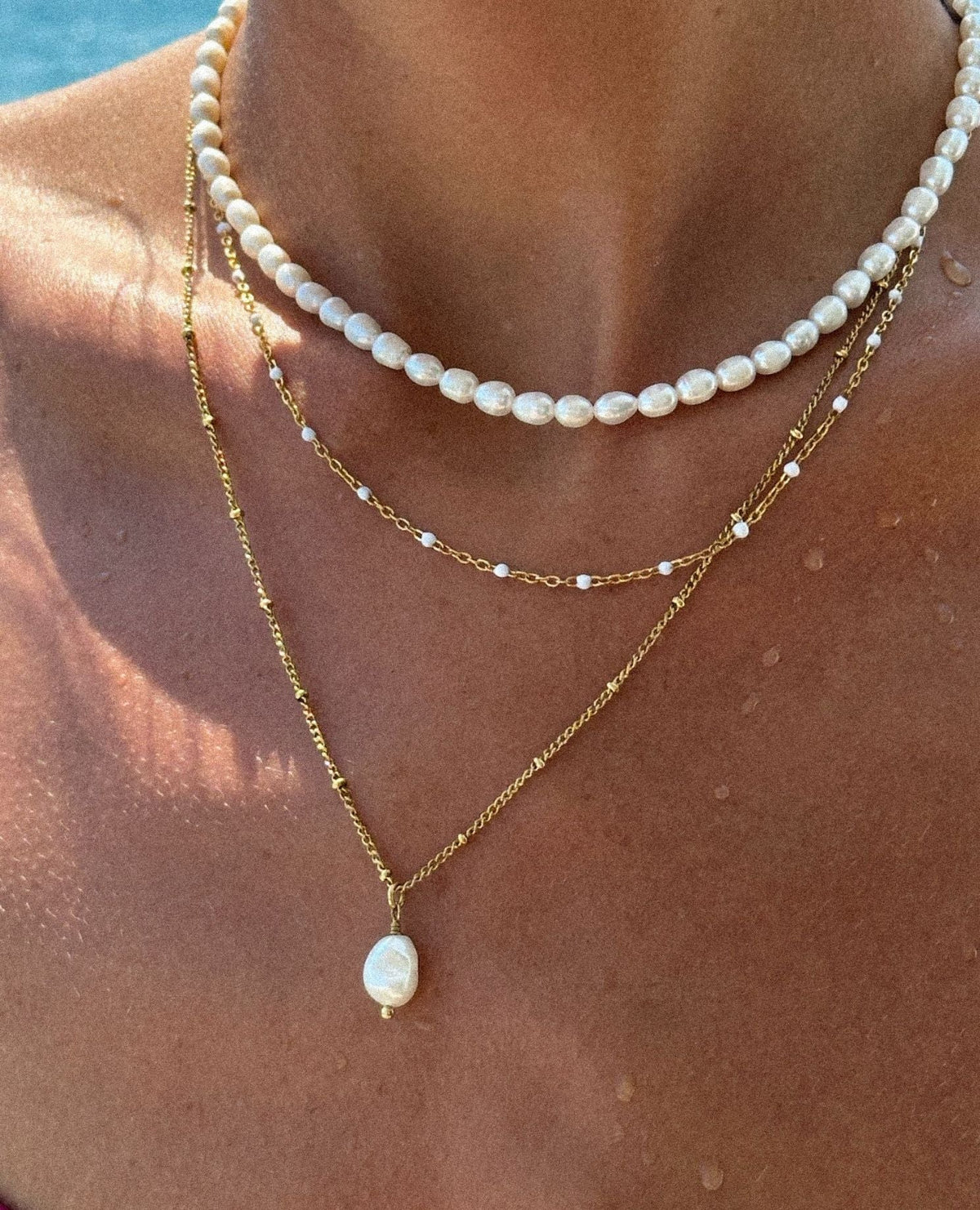 Orders + Shipping